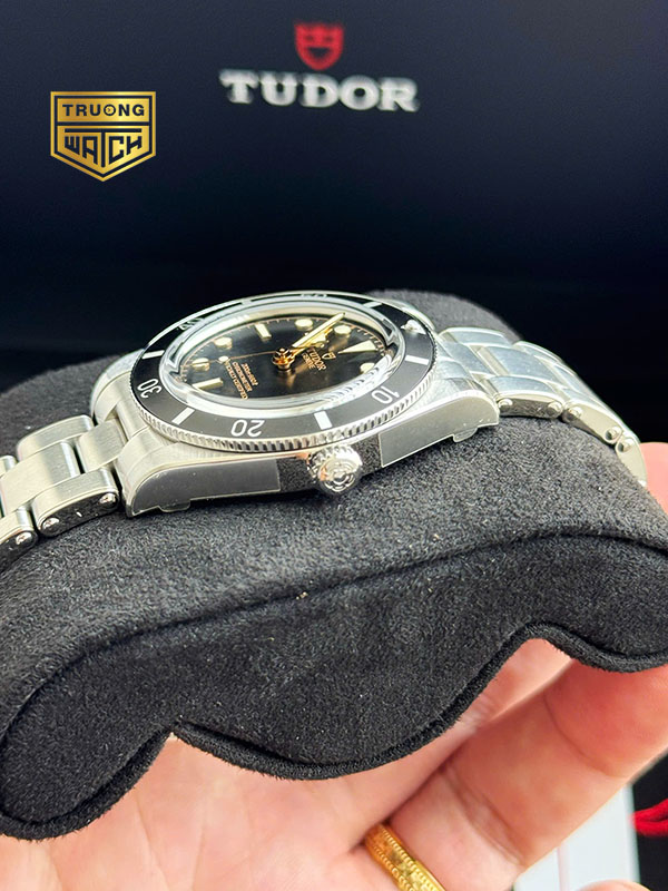 Tudor black bay 54