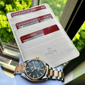 Omega Seamaster Aqua Terra Co-Axial 231.20.39.21.06.001